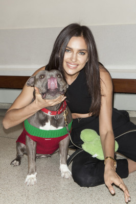 Irina Sheik pic #687245