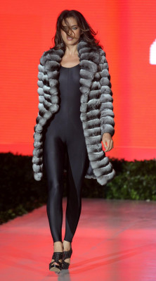 Irina Sheik pic #453922