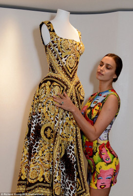Irina Sheik pic #1020521
