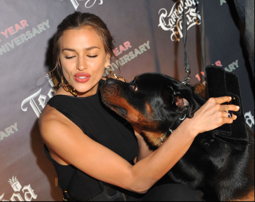 Irina Sheik pic #475804
