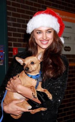 Irina Sheik pic #445116