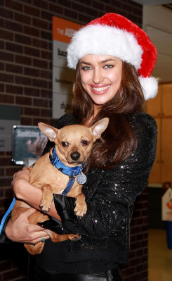 Irina Sheik pic #445113