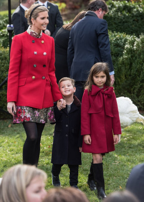 Ivanka Trump pic #1014902