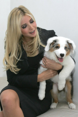 Ivanka Trump pic #86965