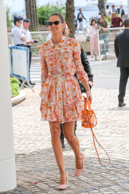 Izabel Goulart pic #1178105