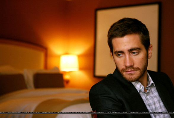 Jake Gyllenhaal pic #251749
