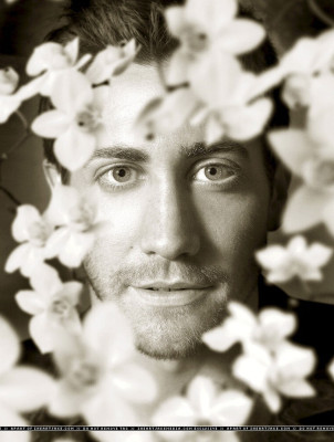 photo 12 in Gyllenhaal gallery [id56485] -0001-11-30 00:00:00