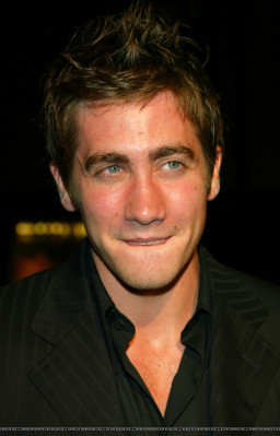 Jake Gyllenhaal pic #264318