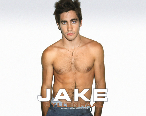 Jake Gyllenhaal pic #265439