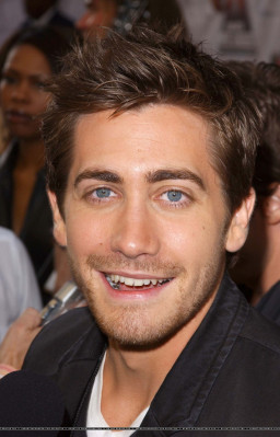 Jake Gyllenhaal pic #264323