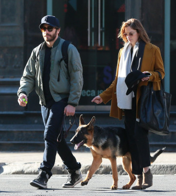photo 25 in Jake Gyllenhaal gallery [id783953] 2015-01-05 00:00:00