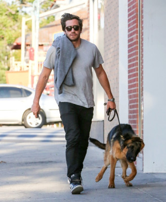 photo 13 in Jake Gyllenhaal gallery [id803271] 2015-04-26 00:00:00