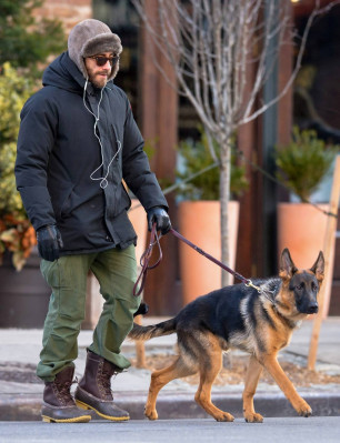 photo 19 in Gyllenhaal gallery [id785149] 2015-01-14 00:00:00