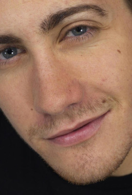 Jake Gyllenhaal pic #264720