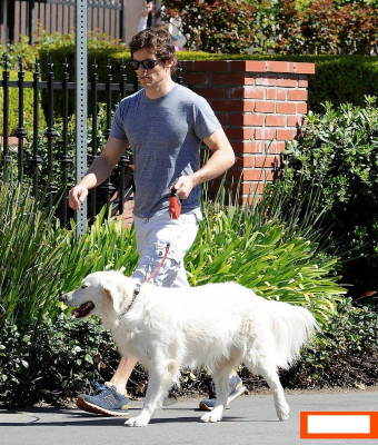 photo 11 in James Marsden gallery [id624278] 2013-04-10 00:00:00