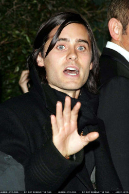 photo 8 in Leto gallery [id42810] -0001-11-30 00:00:00