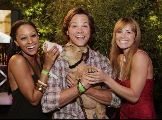 photo 24 in Padalecki gallery [id429768] 2011-10-19 00:00:00
