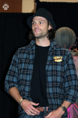 Jared Padalecki pic #692922