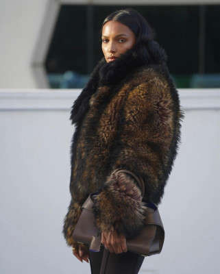 Jasmine Tookes