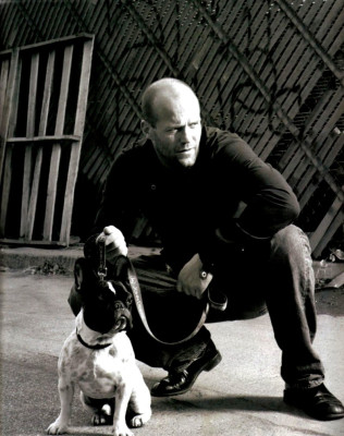 photo 23 in Statham gallery [id129011] 2009-01-16 00:00:00