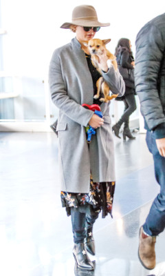 Jennifer Lawrence pic #1028388