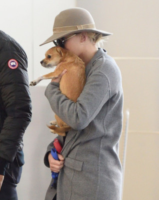 Jennifer Lawrence pic #1026241
