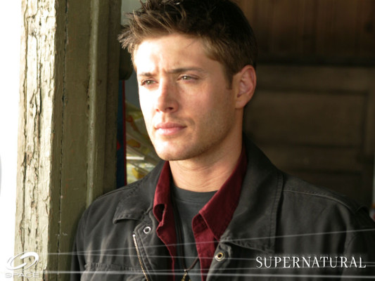 photo 7 in Jensen gallery [id88464] -0001-11-30 00:00:00