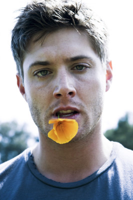 Jensen Ackles pic #258602