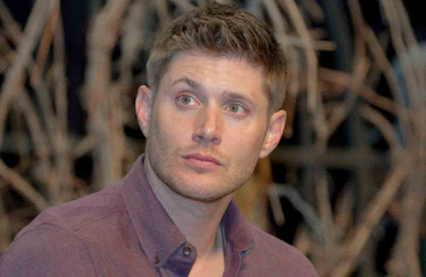 photo 14 in Jensen gallery [id712531] 2014-03-25 00:00:00