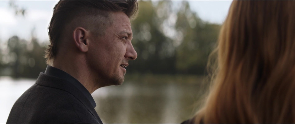 Jeremy Renner - Avengers: Endgame (2019)