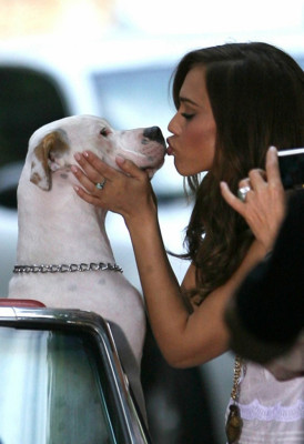 Jessica Alba pic #165010