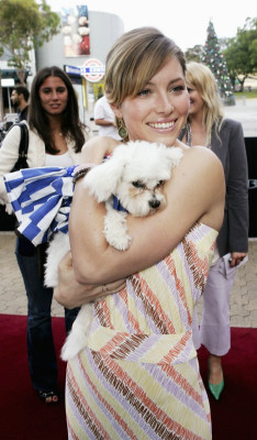 Jessica Biel pic #247413