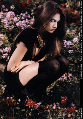 Jessica Miller pic #3528