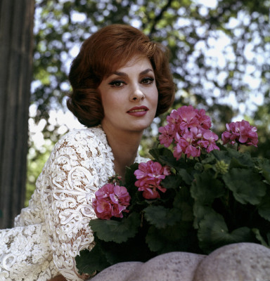 Gina Lollobrigida pic #100767