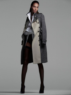 Joan Smalls pic #557547
