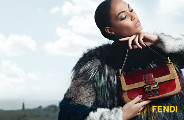 Joan Smalls pic #549430