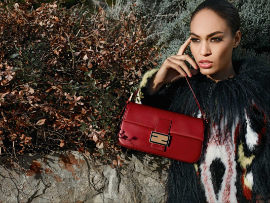Joan Smalls pic #549428
