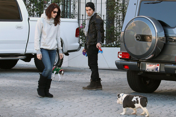 Jonas Brothers pic #708529