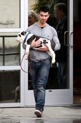 photo 8 in Jonas Brothers gallery [id336651] 2011-01-06 00:00:00