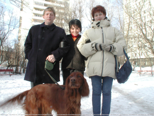 Julia Volkova  pic #1235751