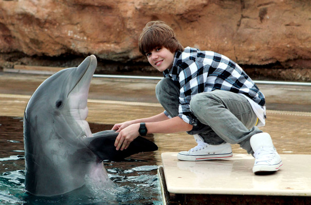 photo 3 in Bieber gallery [id356765] 2011-02-11 00:00:00