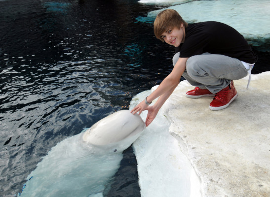 photo 22 in Justin Bieber gallery [id265120] 2010-05-20 00:00:00