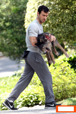 Justin Theroux pic #647459
