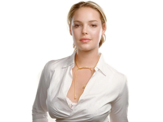 photo 8 in Katherine Heigl gallery [id130228] 2009-01-21 00:00:00
