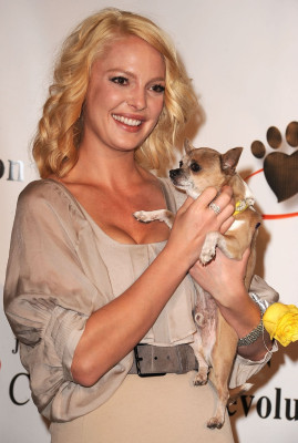 Katherine Heigl pic #300056