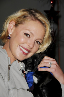 Katherine Heigl pic #437268