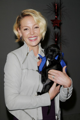 Katherine Heigl pic #437266