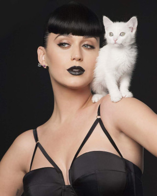 photo 21 in Katy Perry gallery [id901062] 2016-07-25 00:00:00