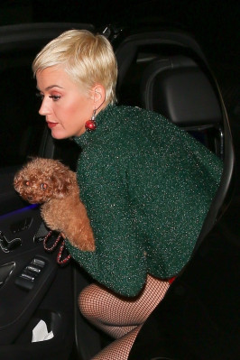 Katy Perry – One Love Malibu Festival Benefit Concert in Calabasas 12/02/2018