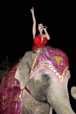 Katy Perry pic #422770